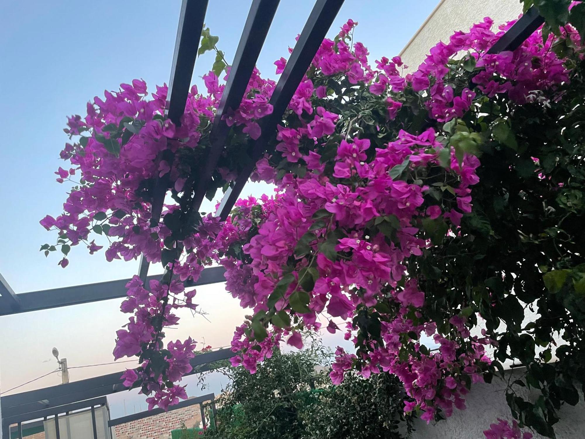 Villa Havuzlu Ve Jakuzuli Lueks Bodrum